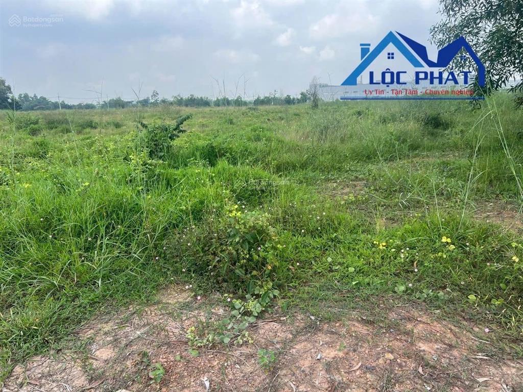 Bán đất xây dựng xưởng 30.000m2 giá chỉ 144,3 tỷ. kcn trảng bomđồng nai  0937 980 ***