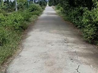 Bán 2290m2 đất thổ lúa tại đức huệ, long an chỉ 1,5tỷ