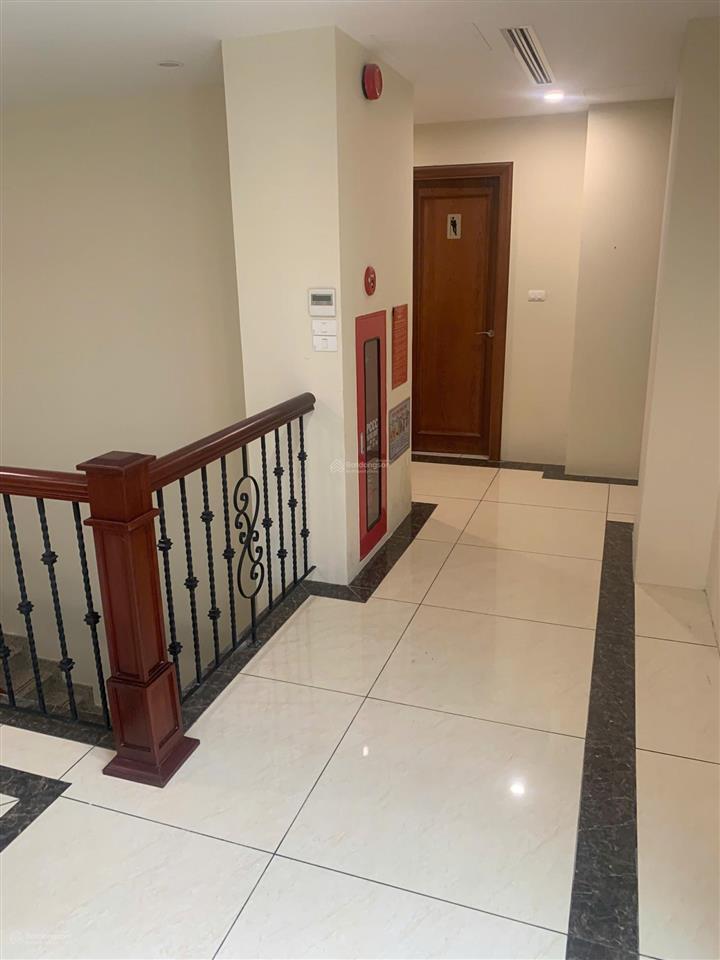 Văn phòng mt trường sơn 80m2  100m2  150m2  giá thuê 15$ bao phí quản lí