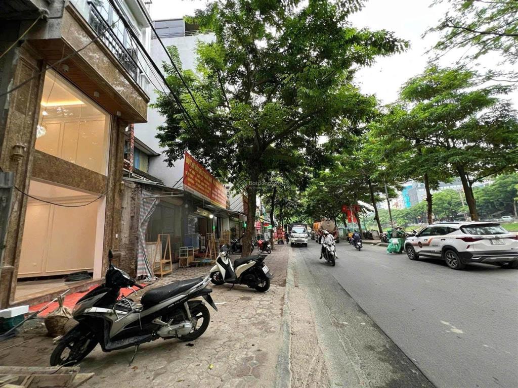 Cực hiếm! cho thuê nhà mặt phố phan kế bính, đường bưởi. đường hè 12m. 65m2*5t. ở, vp, cty, kd đỉnh