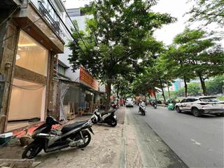 Cực hiếm! cho thuê nhà mặt phố phan kế bính, đường bưởi. đường hè 12m. 65m2*5t. ở, vp, cty, kd đỉnh