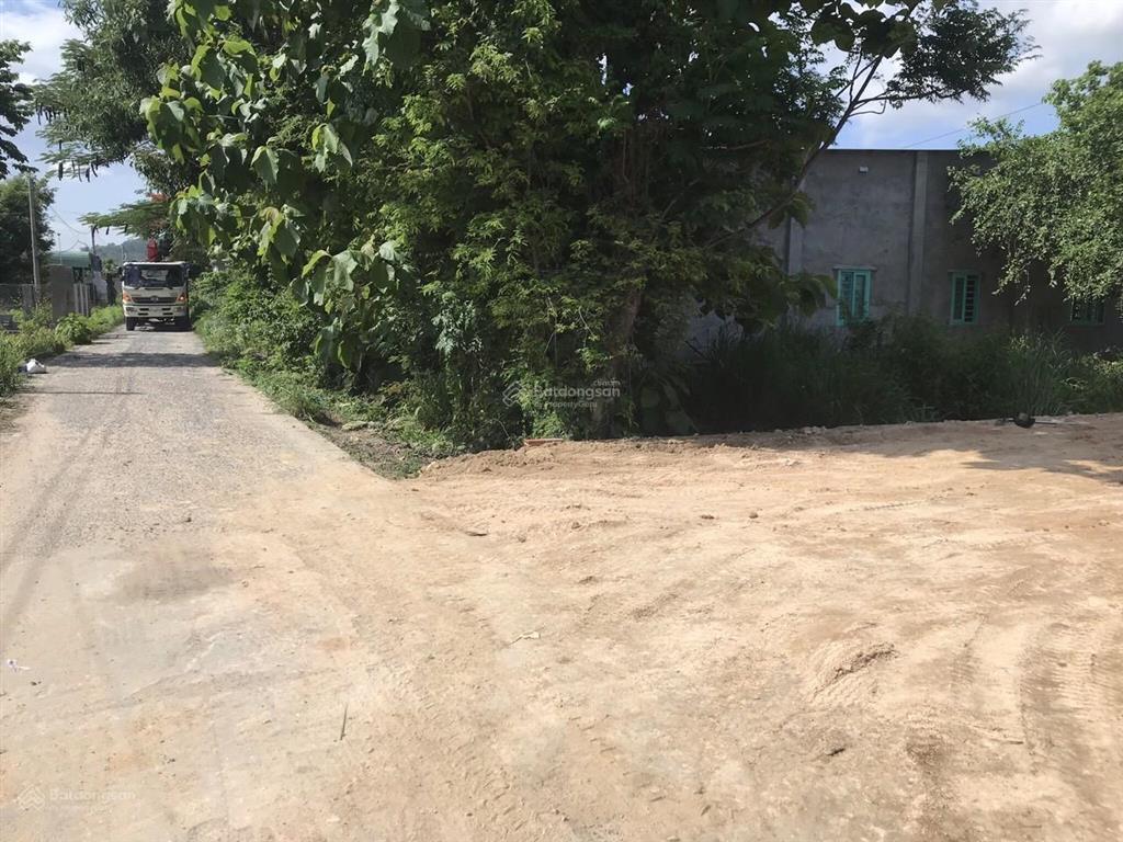 Bán đất đẹp ngay đường tránh ql56, cách ql51 vài trăm mét, phường tân hải, phú mỹ, bà rịa