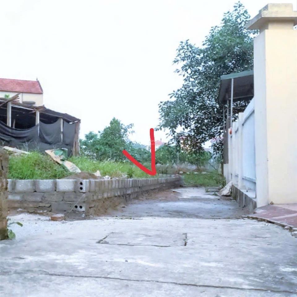 Bán đất thôn phi liệt  văn giang  hưng yên, diện tích 46,2m2 giá chỉ 1,6 tỷ, mặt tiền 7,95m