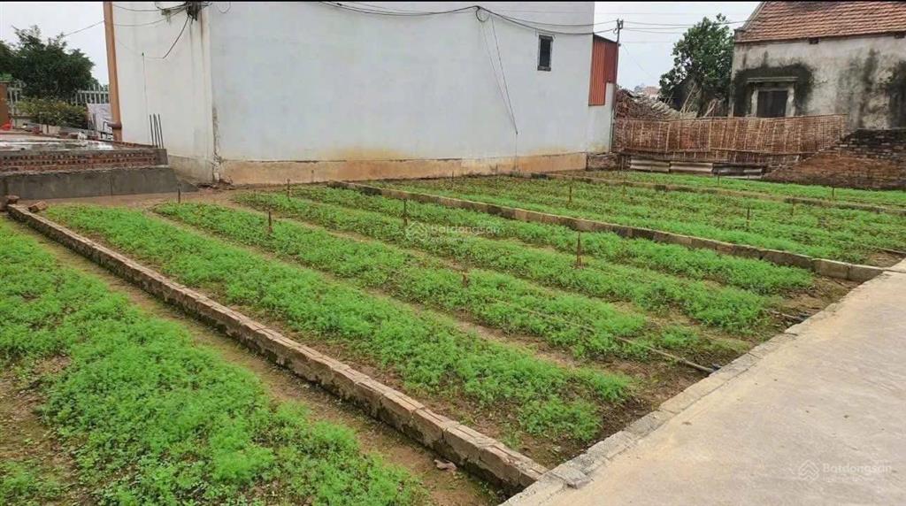 Duy nhất 1 lô 62m2 tại lại trạch  yên mỹ  hưng yên vị trí sát chợ đầu mối nông sản sông hồng, vđ4