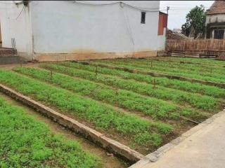 Duy nhất 1 lô 62m2 tại lại trạch  yên mỹ  hưng yên vị trí sát chợ đầu mối nông sản sông hồng, vđ4