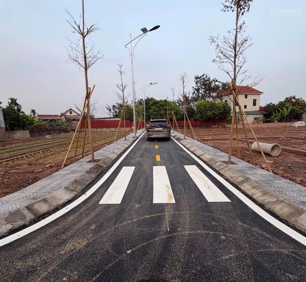 Chính chủ nhờ bán đất đông tảo cơ hội hiếm có  đường thông, ô tô vào tận đất
 hạ tầng đẹp như ảnh