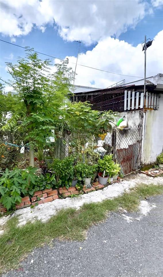 Bán đất đẹp giá rẻ tân thông hội, củ chi, 500 triệu, 51,6m2, sổ sẵn