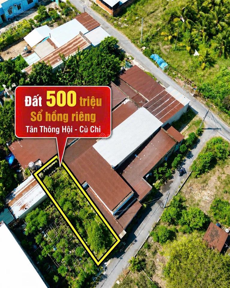 Bán đất đẹp giá rẻ tân thông hội, củ chi, 500 triệu, 51,6m2, sổ sẵn