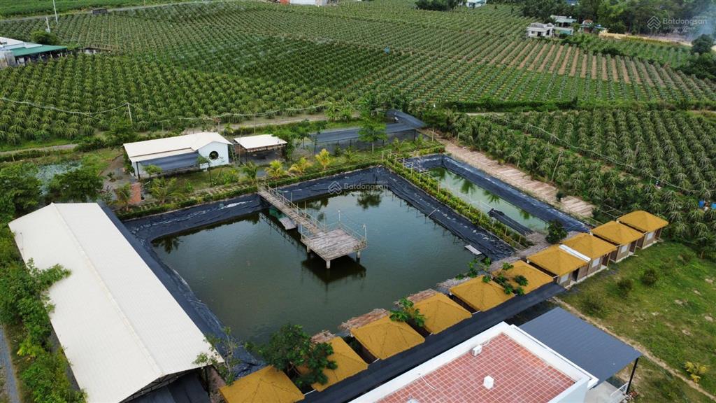 Bán đất chính chủ ngay khu dinh thầy thím (lâm đồng) diện tích 12300m2