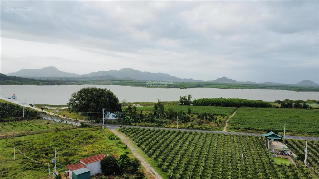 Bán đất chính chủ ngay khu dinh thầy thím (lâm đồng) diện tích 12300m2