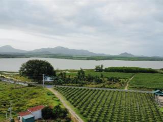 Bán đất chính chủ ngay khu dinh thầy thím (lâm đồng) diện tích 12300m2