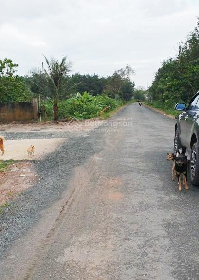 Chính chủ cần bán đất mặt tiền đường nhựa 30m , tại xã tân đông,tân châu, tây ninh.