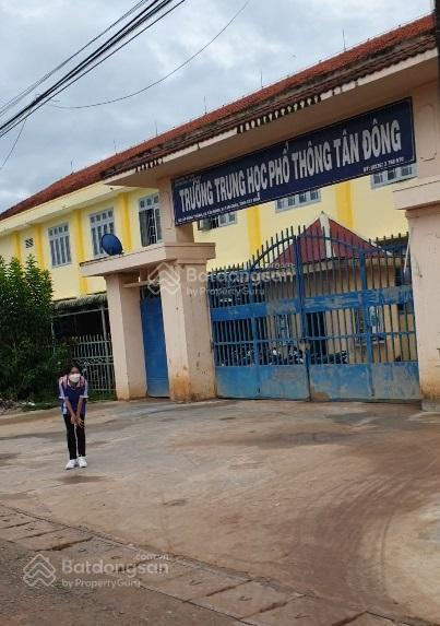 Chính chủ cần bán đất mặt tiền đường nhựa 30m , tại xã tân đông,tân châu, tây ninh.