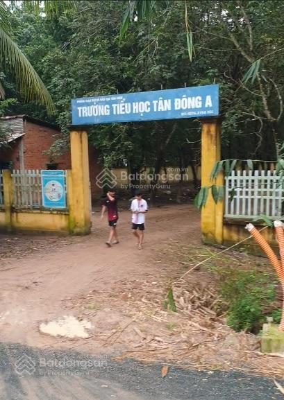 Chính chủ cần bán đất mặt tiền đường nhựa 30m , tại xã tân đông,tân châu, tây ninh.