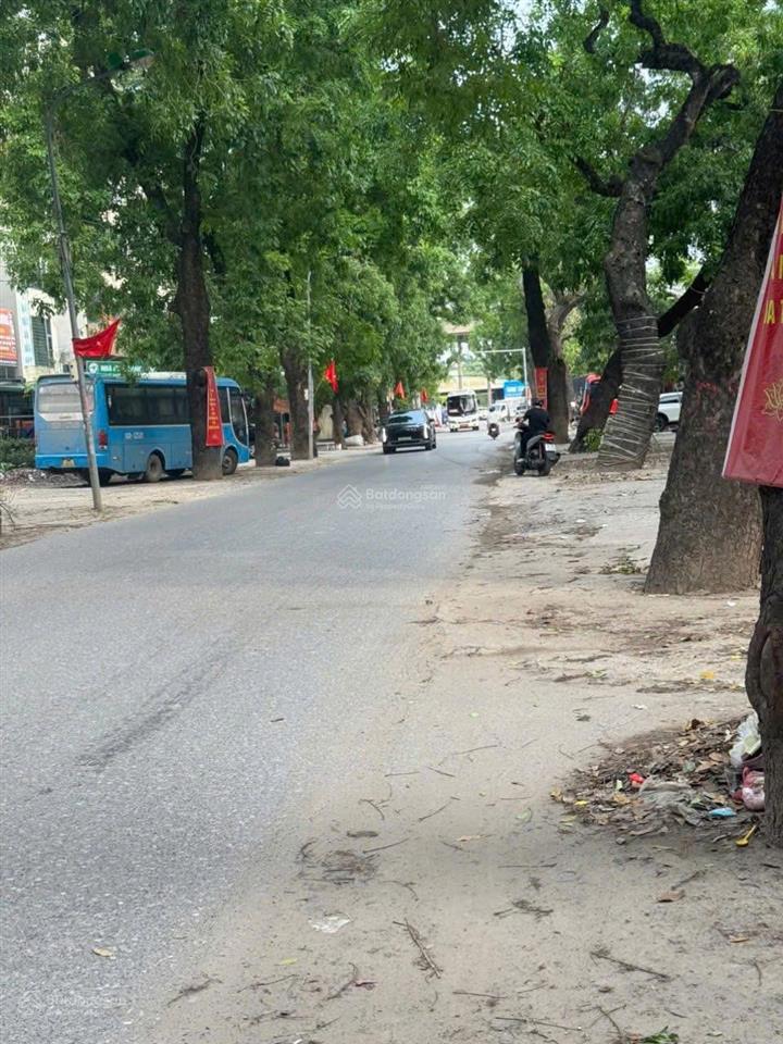 Đất dịch vụ yên nghĩa trục chính hàng cây xà cừ 50m2, mặt tiền 5m kinh doanh sầm uất