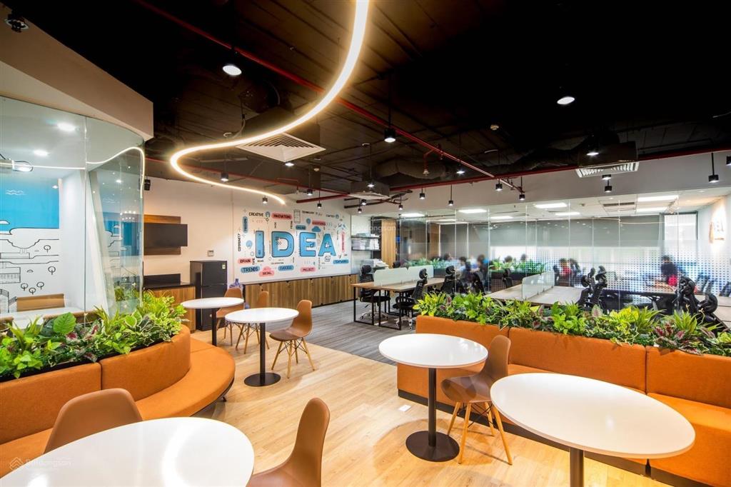 Bql cho thuê sàn văn phòng ngọc khánh plaza phố phạm huy thông, giảng võ, hà nội