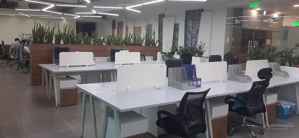 Cho thuê văn phòng tòa nhà toserco kim mã, ba đình, hà nội dt 100m2, giá 200.000đ/m2/th