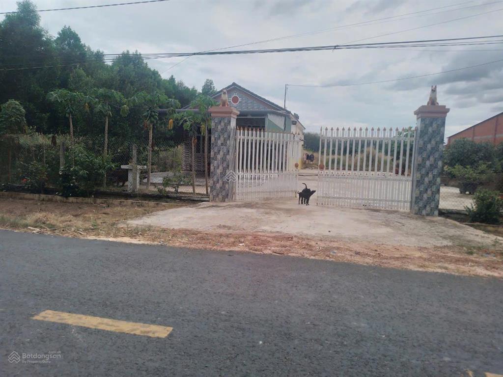 Bán đất có xưởng & đất vườn rộng hơn 4.500m2 tại tân châu, tây ninh