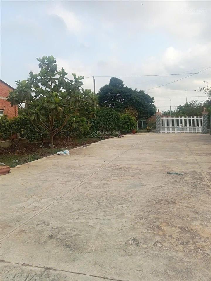 Bán đất có xưởng & đất vườn rộng hơn 4.500m2 tại tân châu, tây ninh