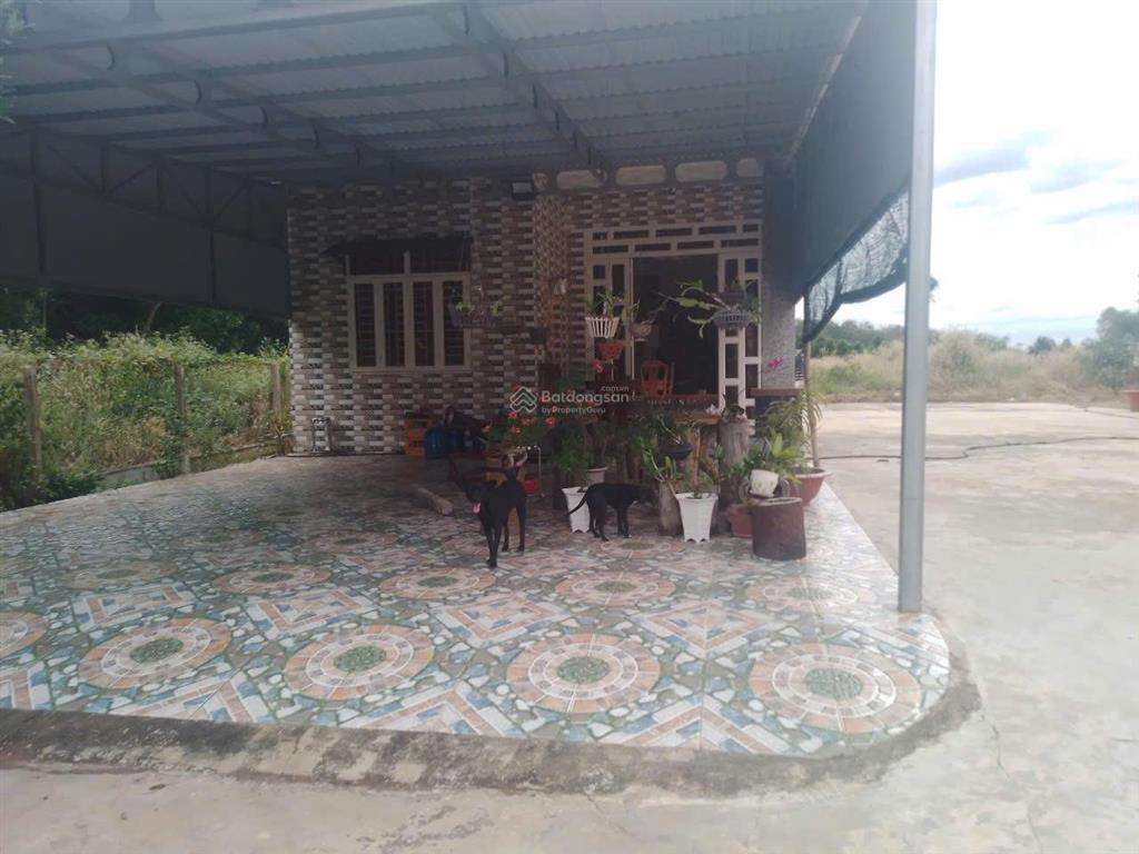 Bán đất có xưởng & đất vườn rộng hơn 4.500m2 tại tân châu, tây ninh