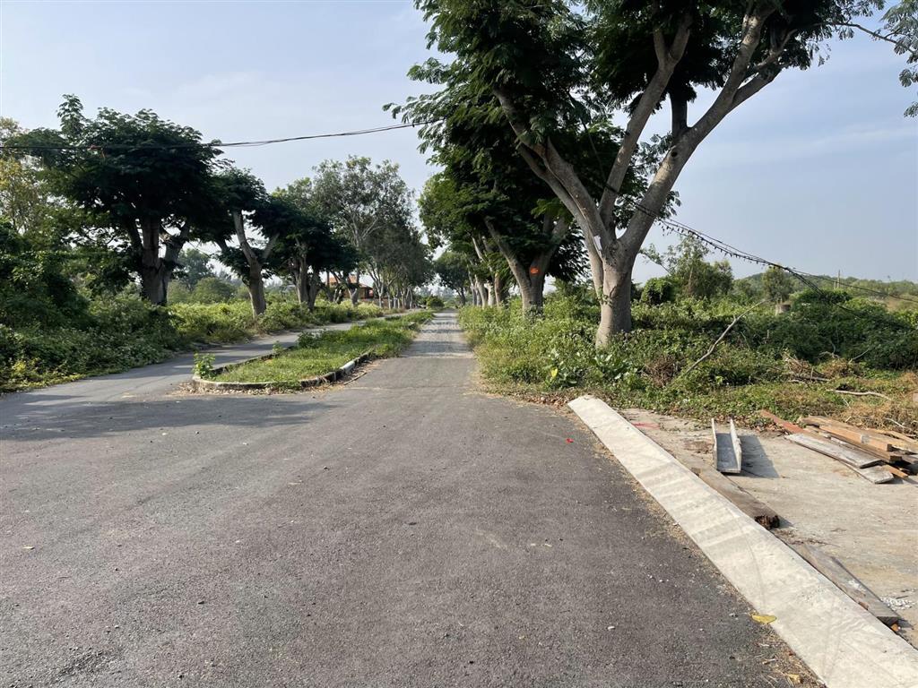 Đất thổ cư sát biển và vingroup cần giờ, 595m2 đường nhựa 16m, xây dựng tự do