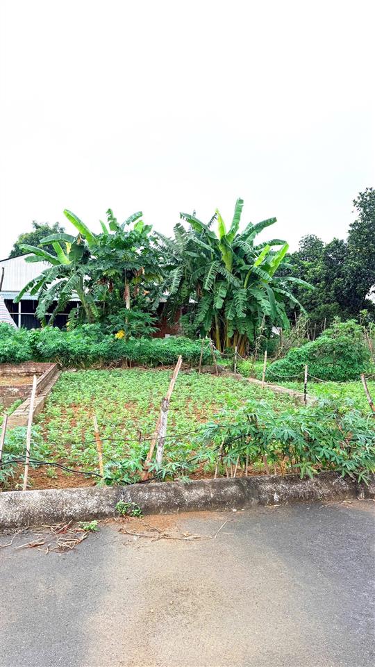 Chỉ hơn 1 tỷ có ngay 60 m đất tại khu công nghệ cao hòa lạc