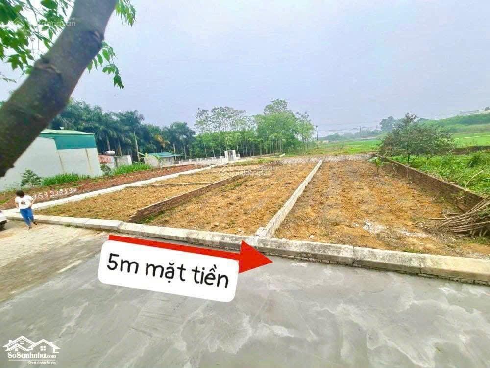 Giảm 400 triệu so với các lô xung quanh, chủ cần bán 100 m² full thổ, cách tỉnh lộ 420 khoảng 100 m