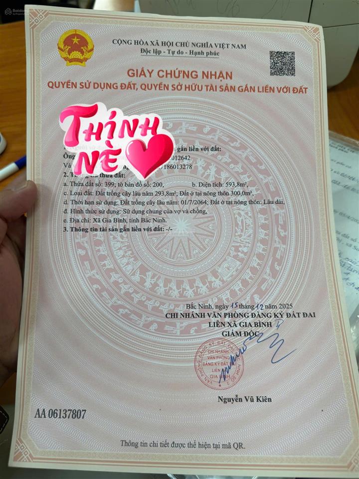Đất nhìn sang khu tái định cư gia bình