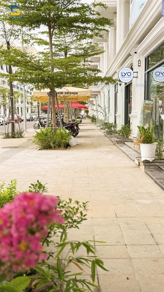 Nhà 4 tầng, 2 mặt tiền kinh doanh ngay khu chợ cống mới huế, chỉ 1,6 tỷ(20% căn)