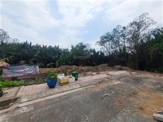 Chính chủ anh em bán đất giáp sông rạch diện tích sử dung gần 2000m2 có 228m2 thổ cư giá 9ty990