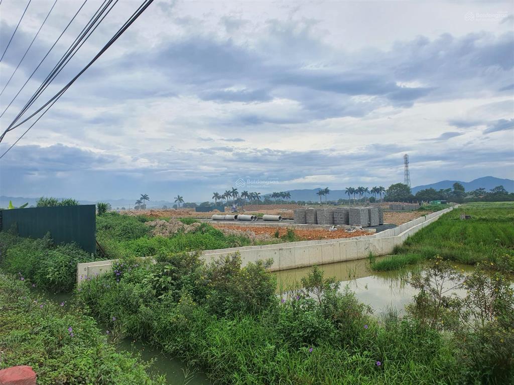 Chính chủ bán suất ngoại giao đất công nghiệp quốc oai được chọn từ 1000 đến 5000m² hoặc hơn.