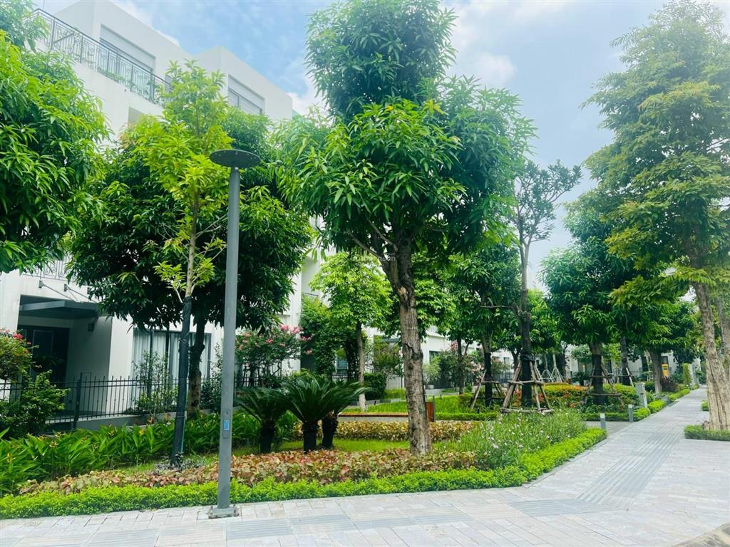 Cần bán gấp căn liền kề the manor central park giá tốt nhất thị trường, 0941 729 ***