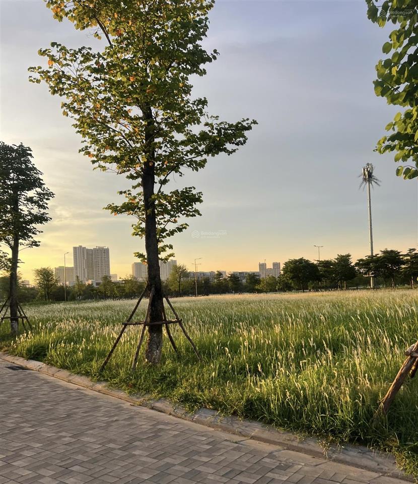 Cần bán gấp căn liền kề the manor central park giá tốt nhất thị trường, 0941 729 ***