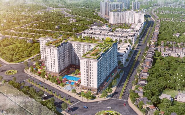 Bán gấp giá bất chấp tại hausman premium residences, căn góc 115,3m2, 3pn, 2wc. 10,7 tỷ