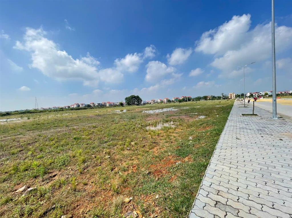 Lô đất 6000m2 cụm công nghiệp tại hiệp hòa, bắc giang, có ưu đãi thuế.  0988 457 ***