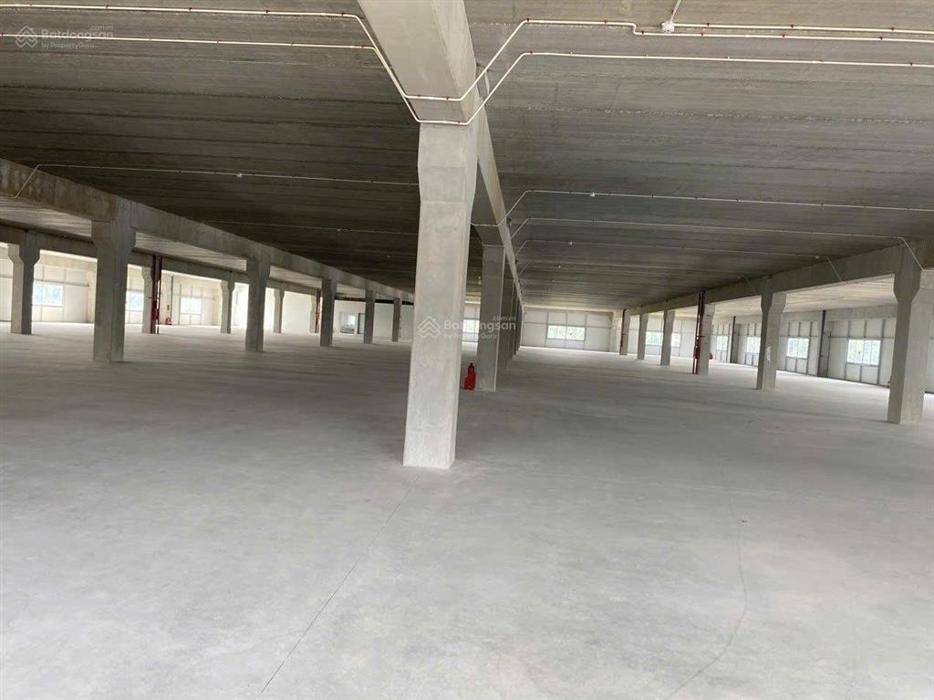 Cho thuê nhà xưởng kcn vân trung, bắc giang. dt 12000m2 bàn giao ngay