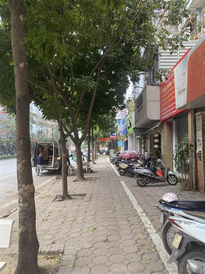 Bán gấp nhà mp nguyễn hoàng cg, dt 70m2 x 7 tầng thang máy chốt 32 tỷ, vỉa hè lô góc, kd vp công ty