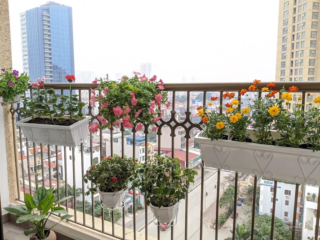 Quỹ căn d'el dorado mới nhất, 4.3 tỷ/40m2, vị trí đẹp siêu trung tâm, full đồ sẵn khách thuê