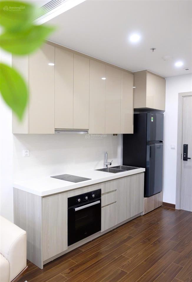 Chính chủ bán căn hộ vinhomes smart city giá chỉ 3,9 tỷ (thu về)