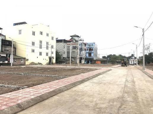 Chính chủ cần bán gấp lô đất đấu giá x2 trục chính la tinh diện tích 65m2