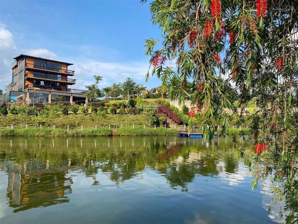 Chính chủ bán nhanh lô góc 149m2 đông nam cạnh khu nghỉ dưỡng làng omm. giá 1.2 tỷ