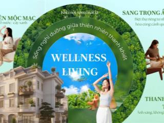 Đón sóng phía bắc hà nội pearl rivera mê linh trước khi thiết lập mặt bằng giá mới