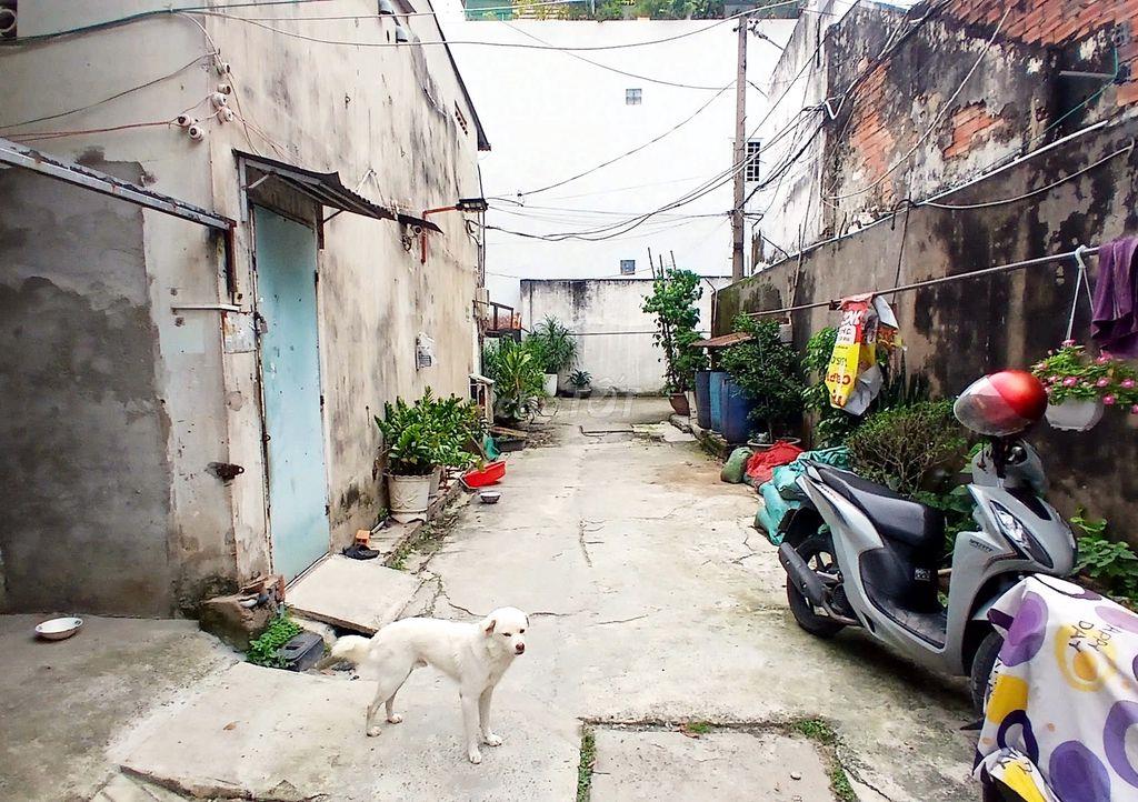 CHO THUÊ PHÒNG TRỌ PHƯỜNG 15 QUẬN TÂN BÌNH 