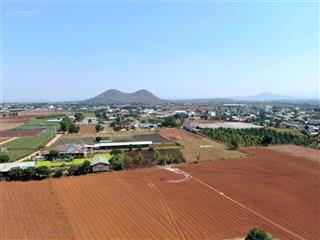 25,5 tỷ  hàng vip hơn 1ha đất đức trọng. cách ql20 chỉ 400m, sẵn thổ cư phù hợp xây kho xưởng