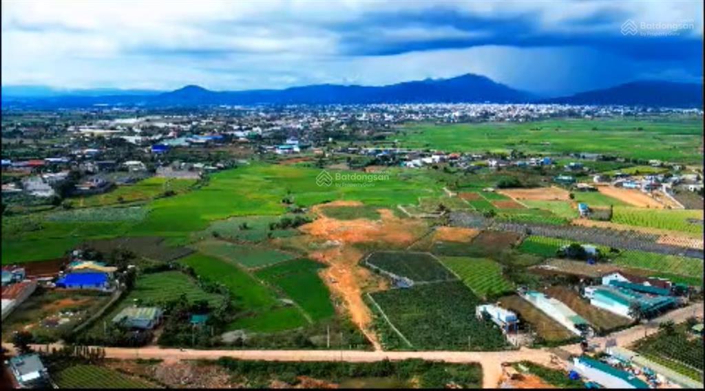 Vip 22.500m2 tại phú hội giáp ranh liên nghĩa, đức trọng, lâm đồng, 100 tỷ