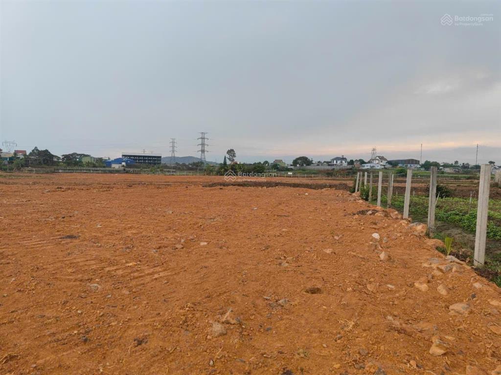 Vip 22.500m2 tại phú hội giáp ranh liên nghĩa, đức trọng, lâm đồng, 100 tỷ
