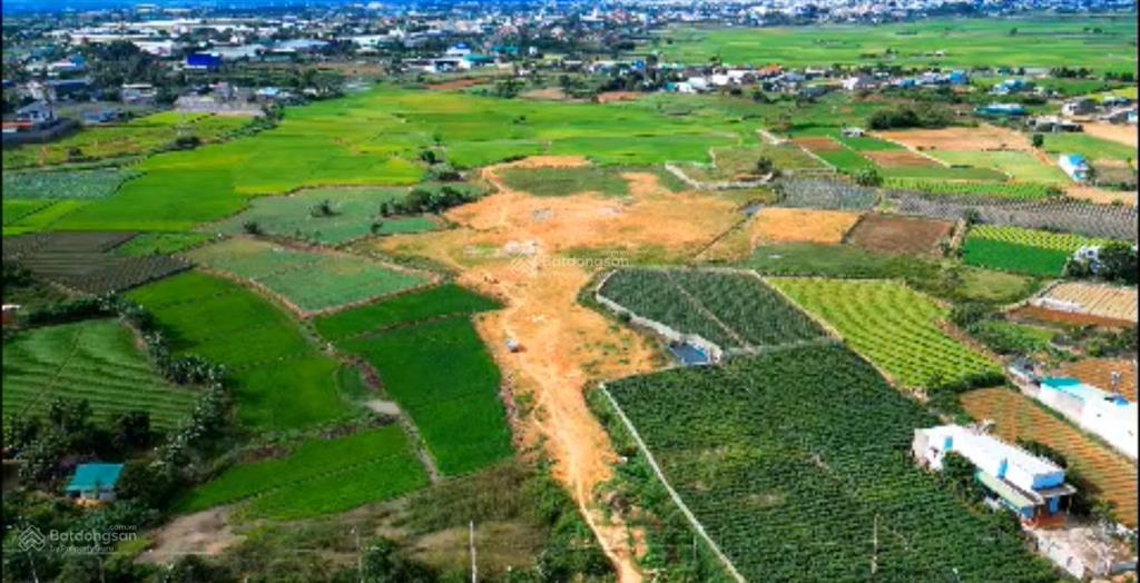 Vip 22.500m2 tại phú hội giáp ranh liên nghĩa, đức trọng, lâm đồng, 100 tỷ