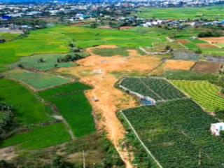 Vip 22.500m2 tại phú hội giáp ranh liên nghĩa, đức trọng, lâm đồng, 100 tỷ