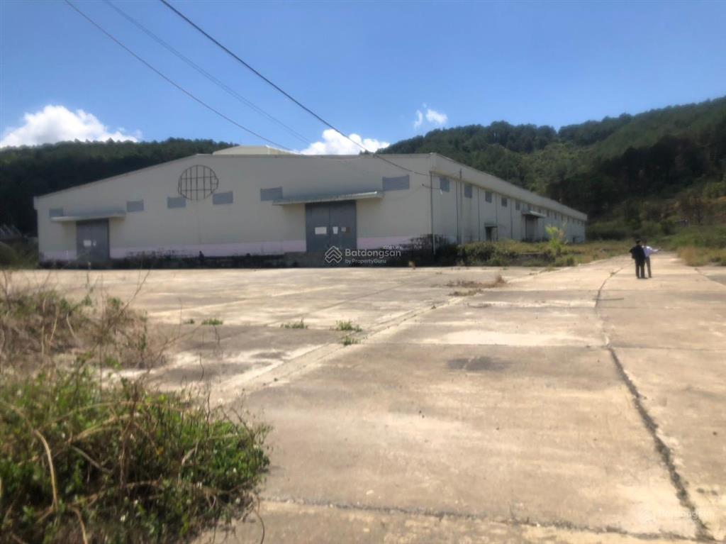 Cho thuê kho, nhà xưởng diện tích 15.000m2 tại đức trọng, lâm đồng