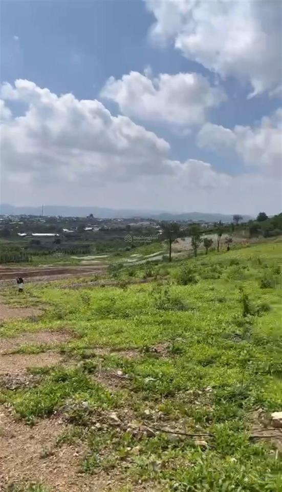 Hàng hot bán 40000m2 (4ha), giá 40 tỷ, cách núi r'chai 1,5km